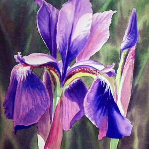 Iris Flower Dancing Petals Painting by Irina Sztukowski - Fine Art America