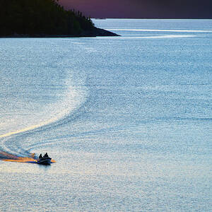 Homeward Bound-cooler by Doug Gibbons