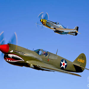 A P-40e Warhawk And A P-51d Mustang by Scott Germain