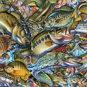 Action Fish Collage by JQ Licensing
