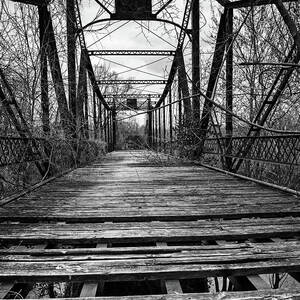 Asylum Bridge by Kevin Anderson
