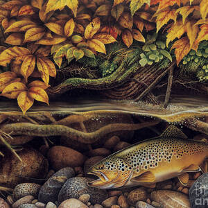 Autumn Brown Trout by JQ Licensing