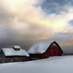 Barn in Solitude by Nancy Griswold