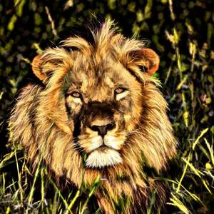 Beautiful Lion in Wildlife, King of Animals and Nature Digital Art by  Magalie Delcourt - Pixels