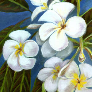 Frangipani Trio Painting by Michele Ross