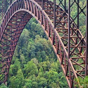 Bridge of Trees by Rick Locke - Out of the Corner of My Eye