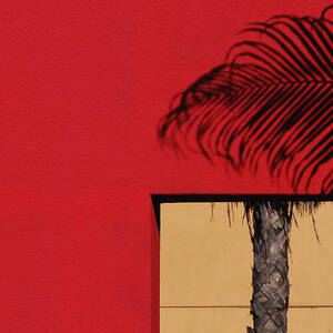 Deconstructed Palm Tree by Stuart Allen