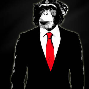 Domesticated Monkey by Nicklas Gustafsson