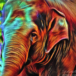Elephant Abstract Psychedelic by Kaye Menner by Kaye Menner