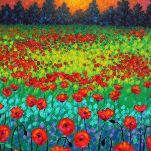 Evening Poppies by John  Nolan