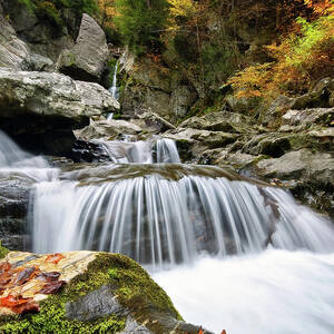 Fall Color Bash by Neil Shapiro