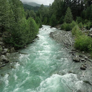 Fitzsimmons Creek by David T Wilkinson