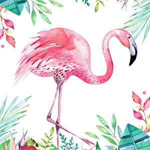 Flamingo Tropicana by Amanda Jane