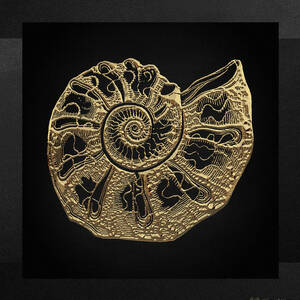 Fossil Record - Golden Ammonite Fossil on Square Black Canvas #4 by Serge Averbukh