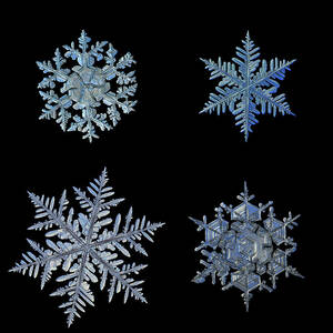 Four snowflakes on black background by Alexey Kljatov