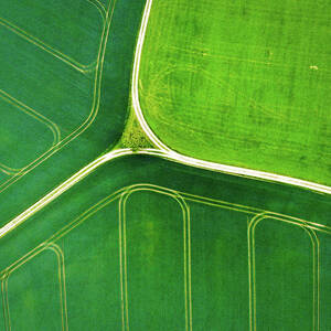 Green geometric nature with lines aerial view by Matthias Hauser