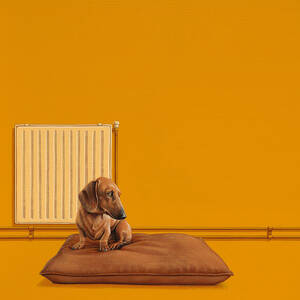 Jonas by Jasper Oostland