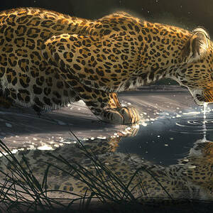 Just A Sip by Aaron Blaise