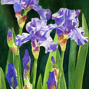 Iris on the Warm Side Painting by Sharon Freeman - Fine Art America