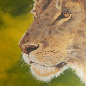 Lion portrait by John Neeve