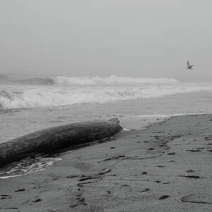 Misquamicut Beach in Fog by Kirkodd Photography Of New England