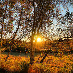October Sunset golden glow by Lilia S