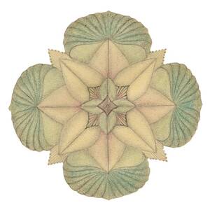 JA Ouroboros ja112 by Dar Freeland