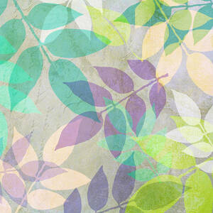 Poppy Shimmer III  by Mindy Sommers