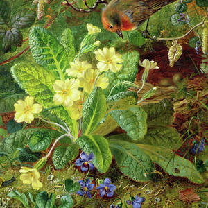 Primrose and Robin by William John Wainwright