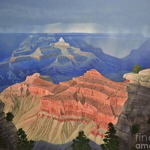 Grand Canyon Duck on a Rock Tote Bag by Chance Kafka - Fine Art America