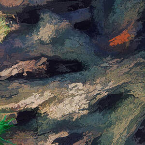 Root Abstract DP by Kevin Anderson