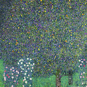 Roses under the Trees by Gustav Klimt