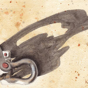Shackles with Five O Clock Shadow by Ken Powers