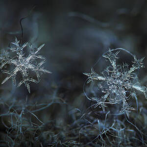 Snowflake photo - When winters meets - 2 by Alexey Kljatov