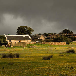 Spring breaking through by Claudio Maioli