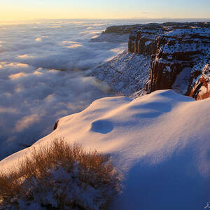 Sunrise Inversion at Buck Canyon Overlook by Dan Norris