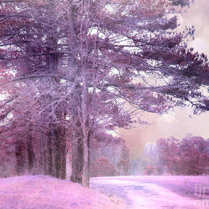 Surreal Fantasy Pink Purple Tree With Balloons Photograph by Kathy ...