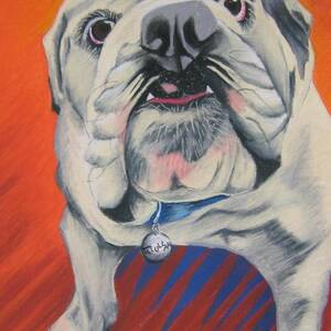 Dr. Dog Painting by Michelle Hayden-Marsan - Fine Art America