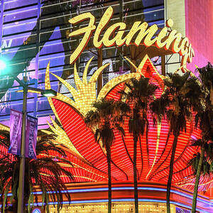 The Flamingo Neon Sign and Palm Trees Wide by Aloha Art