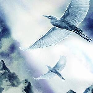 The Magic of Flight by Hartmut Jager