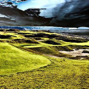 The Only Tree on the Chambers Bay Course - #15 by David Patterson