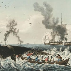 The Whale Fishery Attacking a Sperm Whale and Cutting In by Currier and Ives