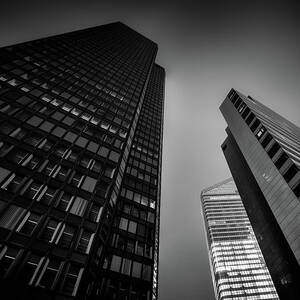 Towers by James Billings