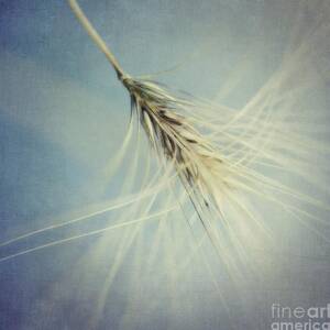 Twirling by Priska Wettstein