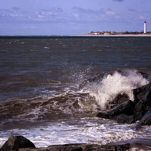 View From The Cove by Tom Singleton