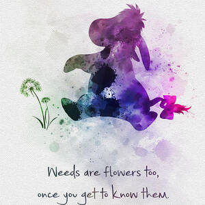 Weeds Are Flowers To Once You Get To Know Them by My Inspiration