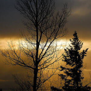 Winter Sunrise 2 by Sebastian Musial