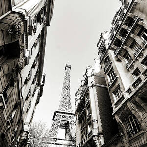 Eiffel Tower  Between Buildings In #1 by Flory