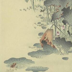 Frog And Tadpoles by Ohara Koson