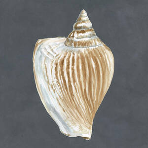 Shell On Slate Vi #1 by Megan Meagher